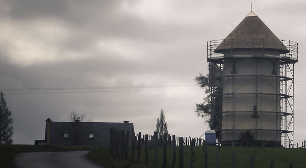 Weichert Dachbau Reetdachdecker-Fachbetrieb