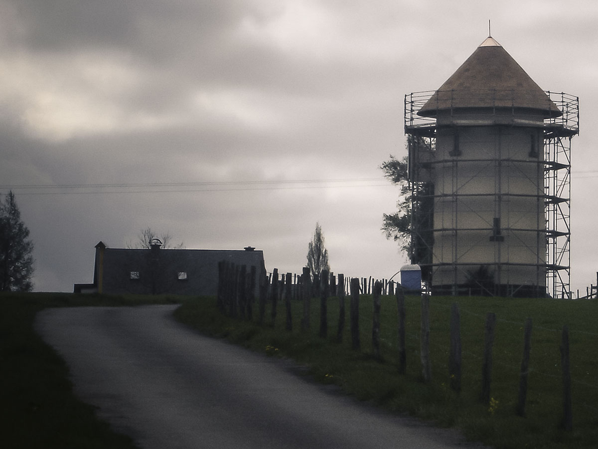 Weichert Dachbau Reetdachdecker-Fachbetrieb