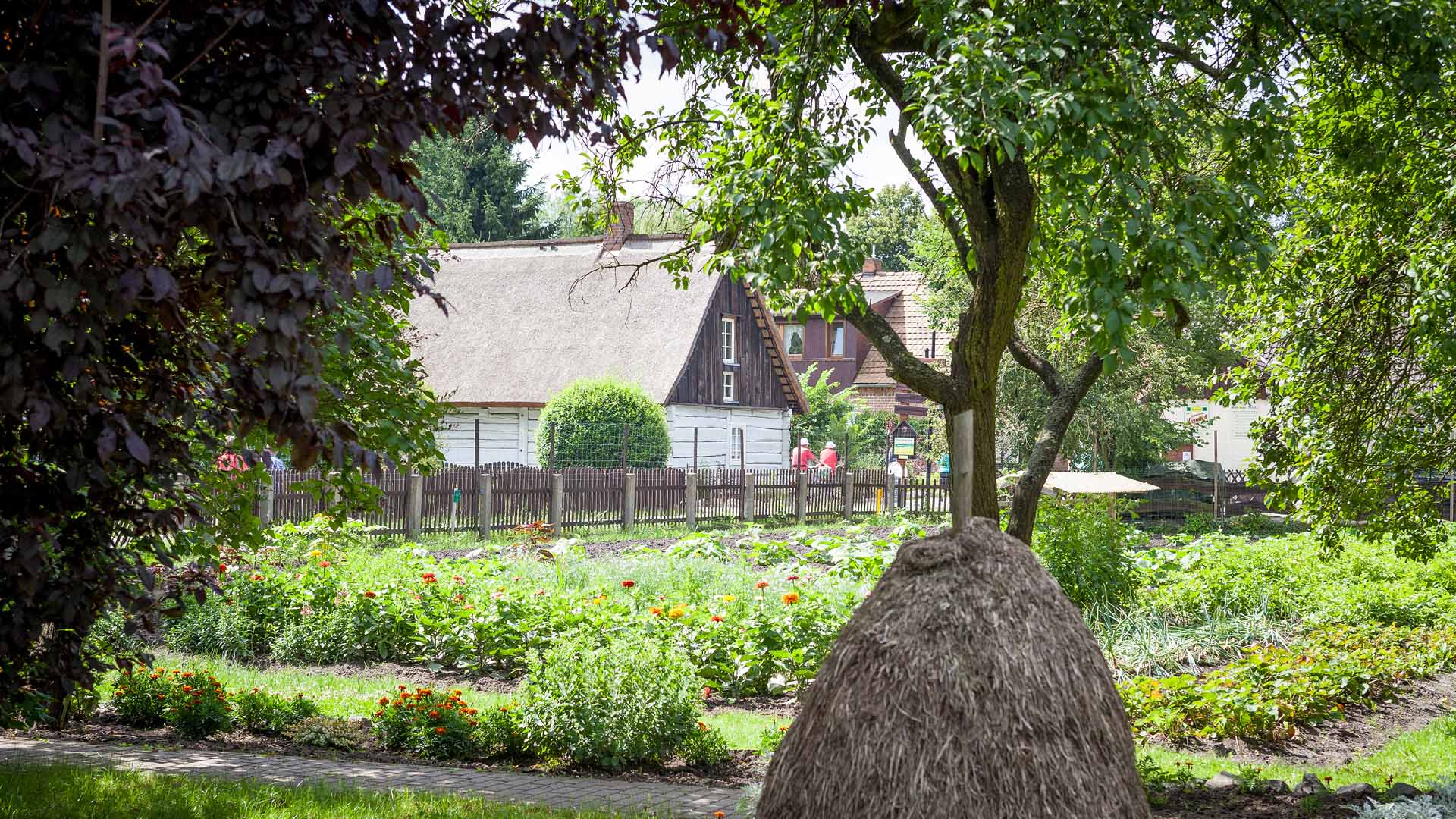 reetdachdecker_berlin_spreewald_37