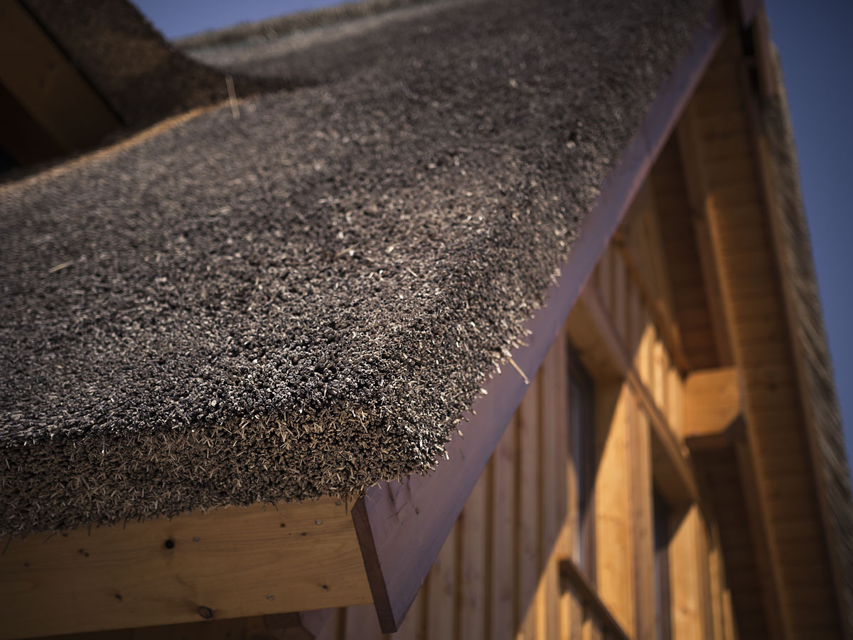 burg_drweiss_1200x900_03 Weichert Dachbau Reetdachdecker-Fachbetrieb