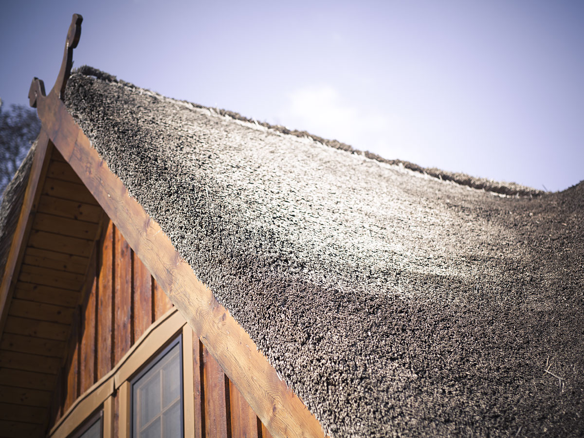 burg_drweiss_1200x900_07 Weichert Dachbau Reetdachdecker-Fachbetrieb