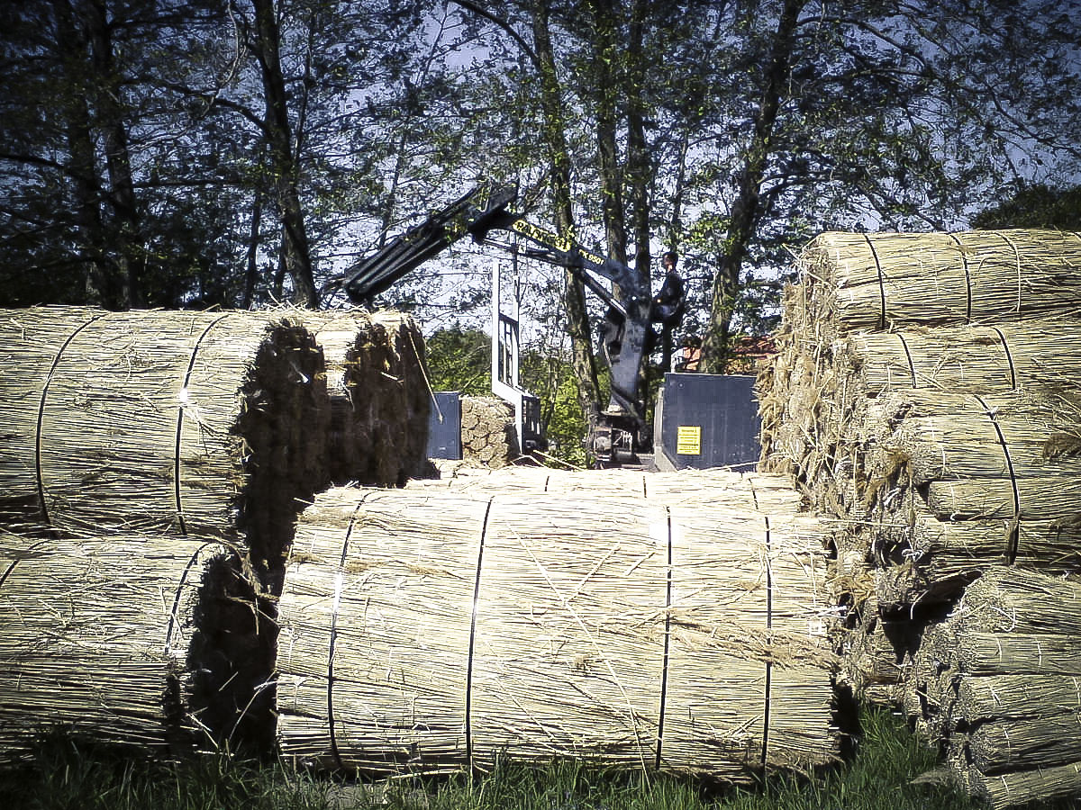 Weichert Dachbau Reetdachdecker-Fachbetrieb