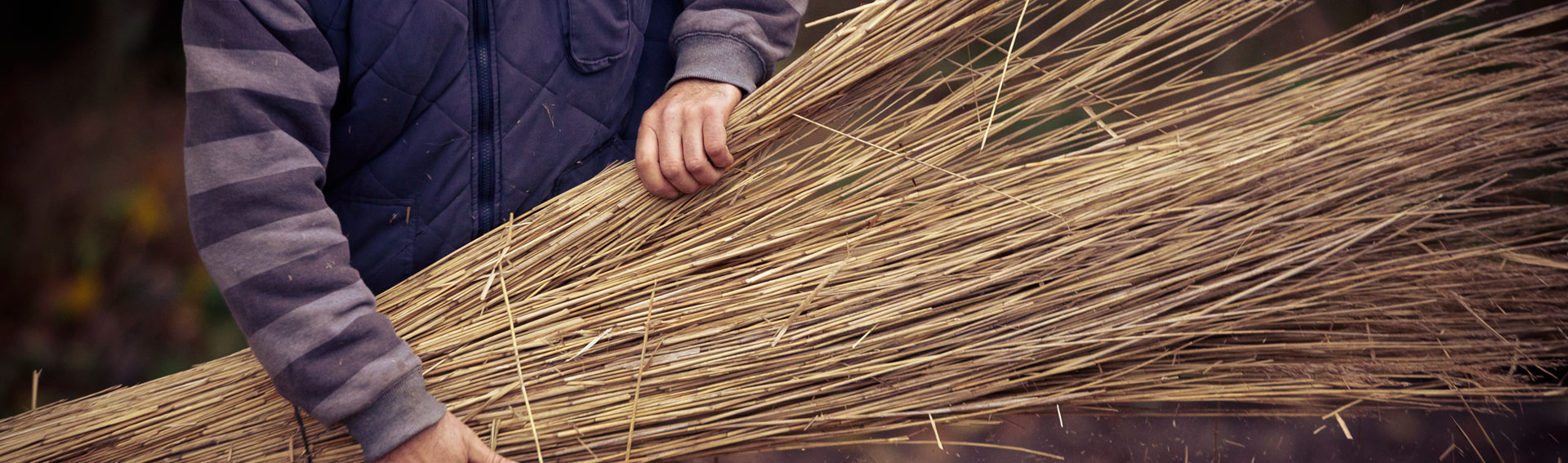 Pflege, Wartung, Reinigung und Sanierung von Reetdächern