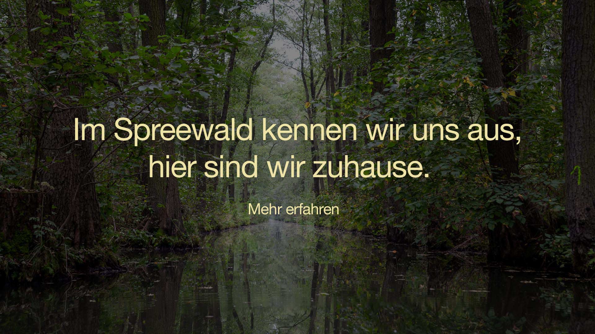 reetdachdecker_berlin_spreewald_startpage